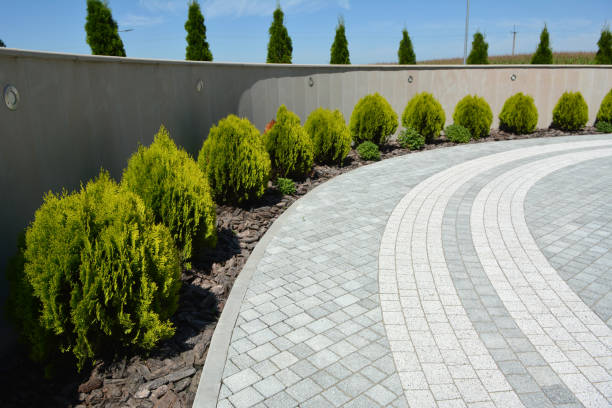 Best Driveway Paving Contractor  in Moyock, NC
